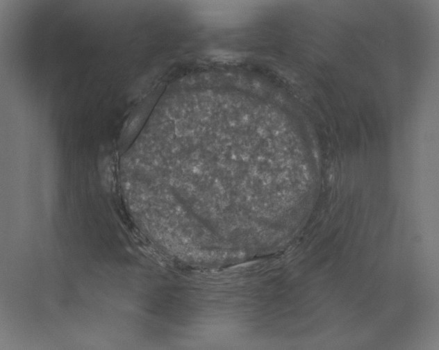 X0000068811397200606021539