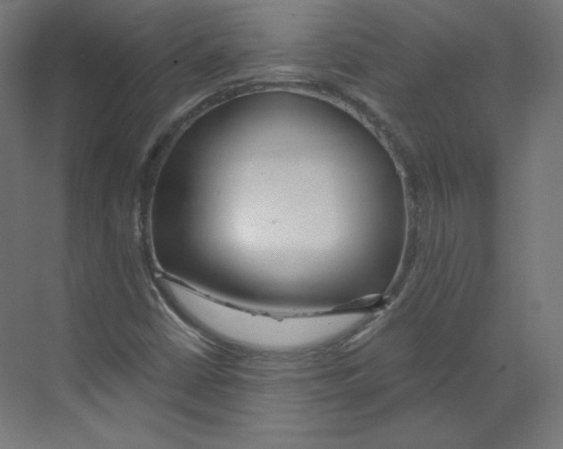 X0000068811402200606021539