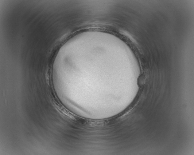 X0000068811403200606021539