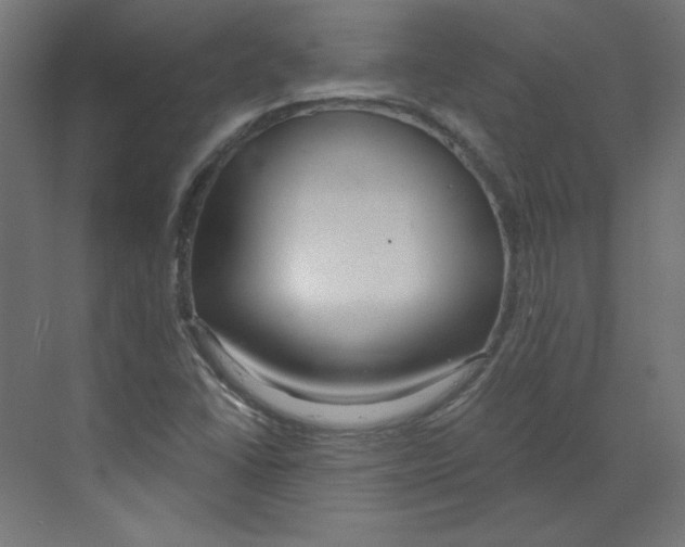 X0000068811406200606021539