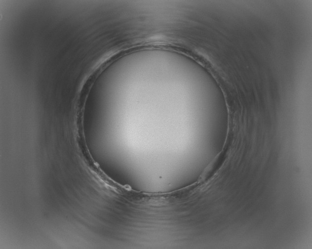 X0000068811410200606021539