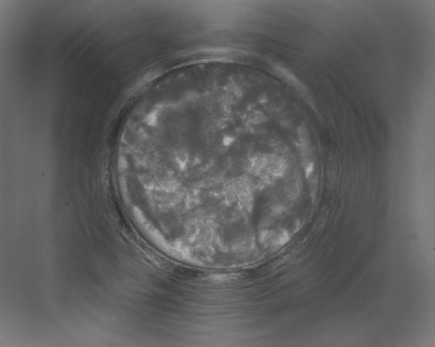 X0000068811411200606021539