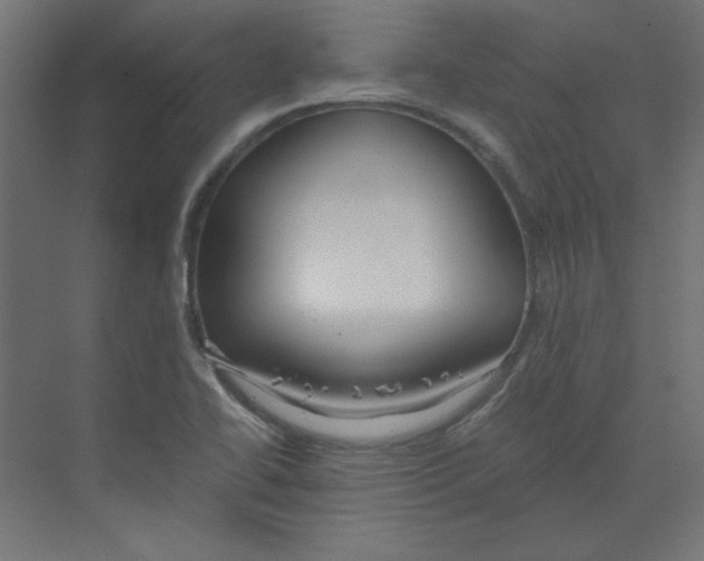 X0000068811414200606021539