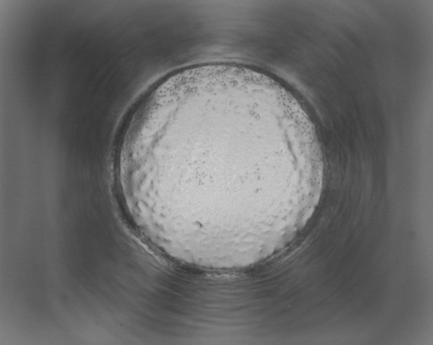 X0000068811415200606021539