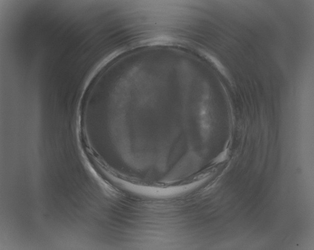 X0000068811418200606021539