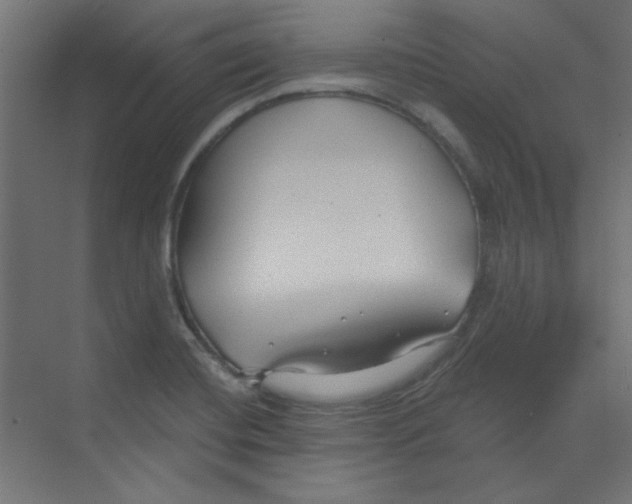 X0000068811420200606021539