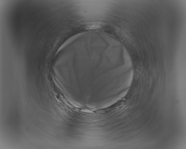 X0000068811441200606021539