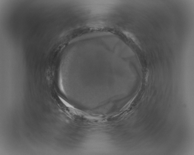 X0000068811445200606021539