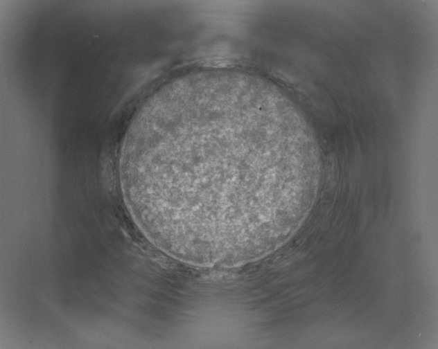 X0000068811446200606021539