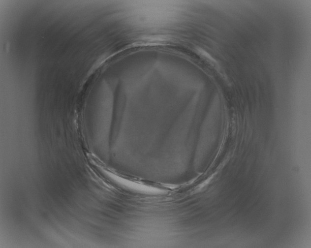 X0000068811449200606021538
