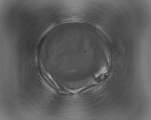 X0000068811450200606021538
