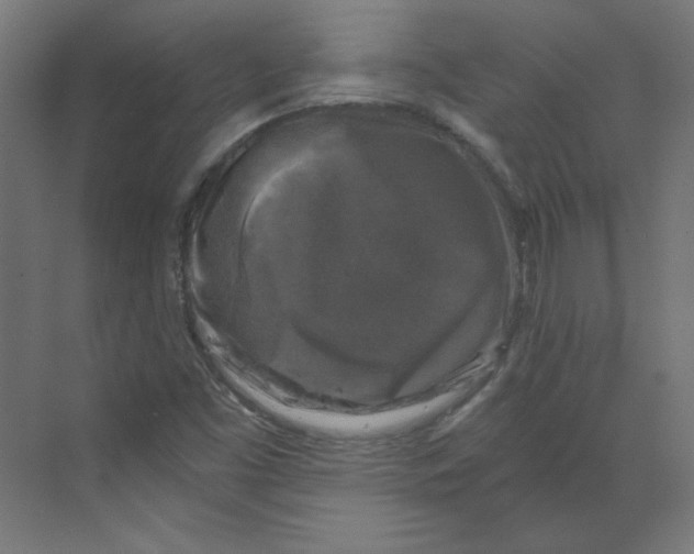 X0000068811453200606021538
