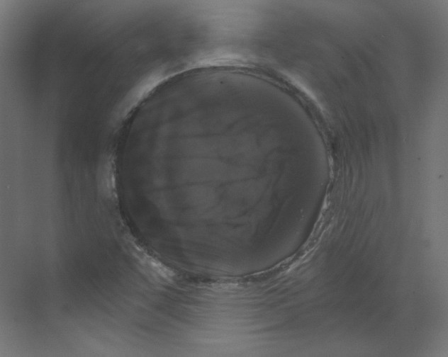 X0000068811455200606021538
