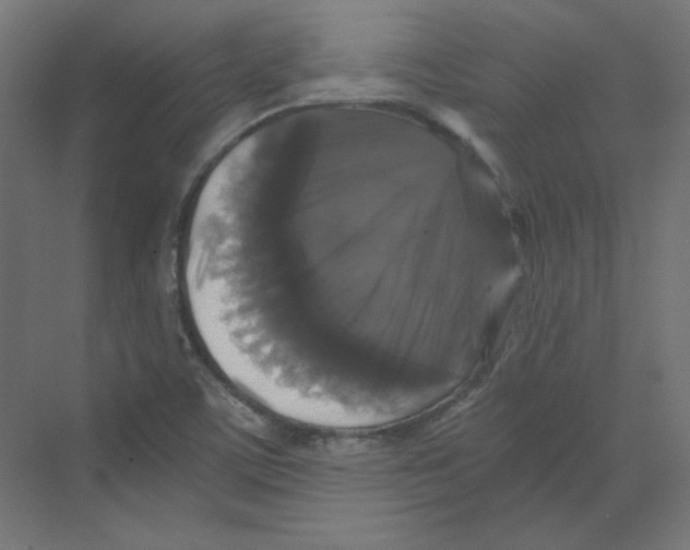 X0000068811459200606021538
