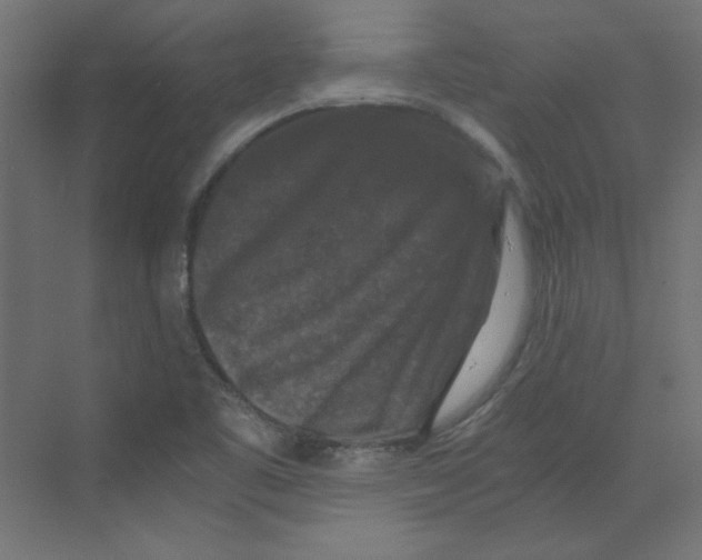 X0000068811461200606021538