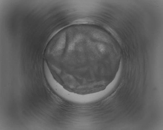 X0000068811465200606021538