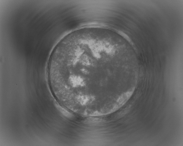 X0000068811474200606021538