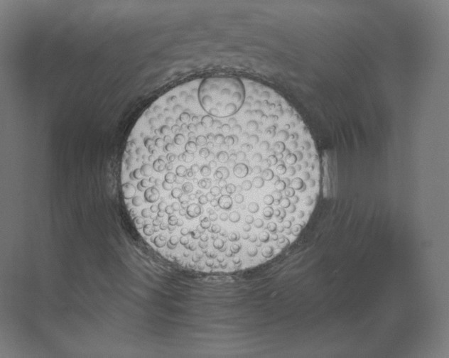 X0000068811491200606021537
