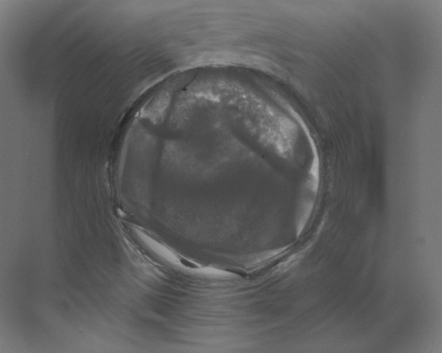 X0000068811497200606021537