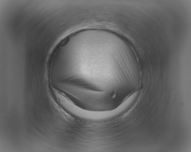X0000068811506200606021537