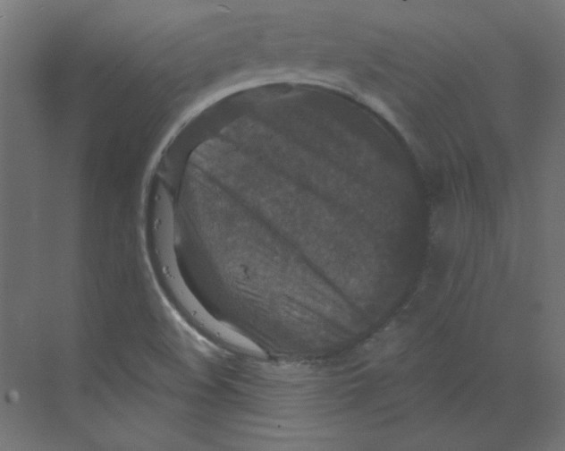 X0000068811508200606021537