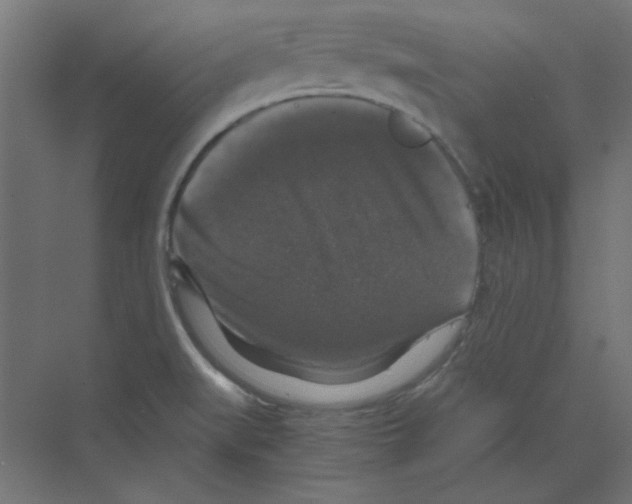 X0000068811519200606021537