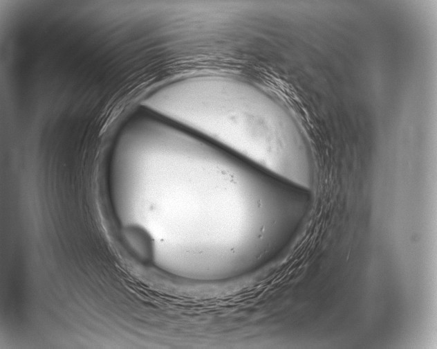 X0000068820001200605050954