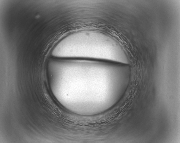 X0000068820002200605050954