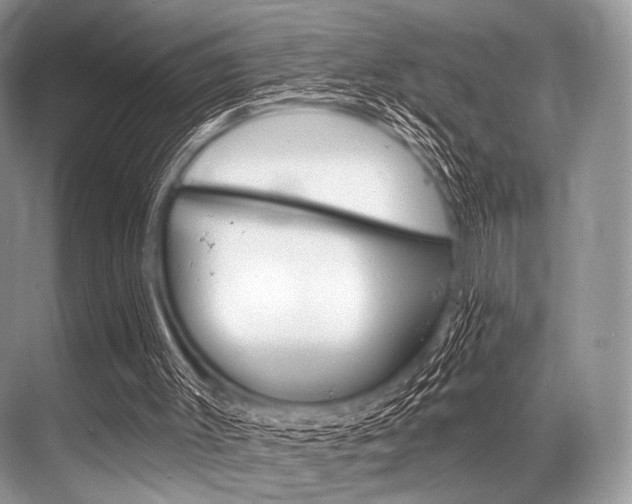 X0000068820003200605050954