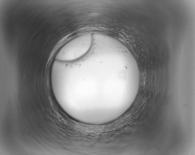 X0000068820004200605050954