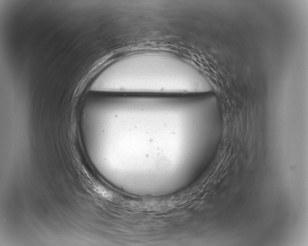 X0000068820005200605050954