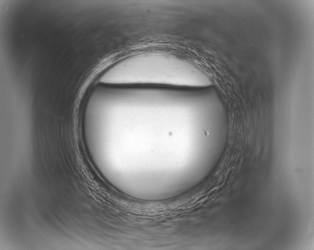 X0000068820006200605050954