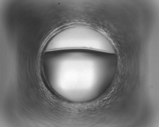 X0000068820007200605050954