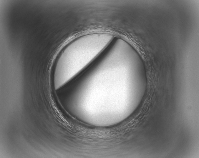 X0000068820008200605050954