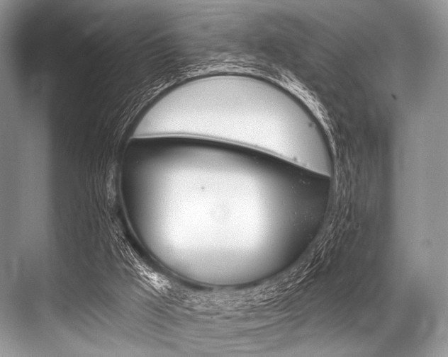 X0000068820009200605050954