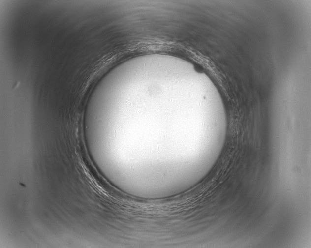 X0000068820010200605050954