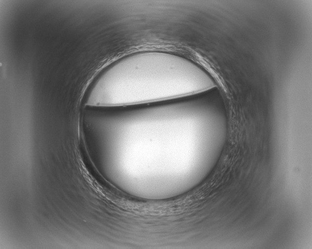 X0000068820011200605050954