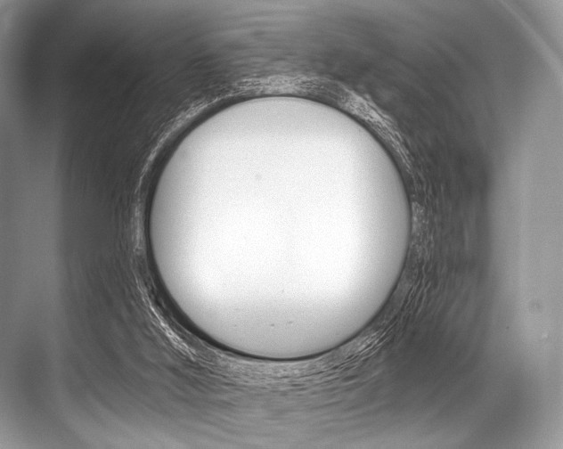 X0000068820012200605050954