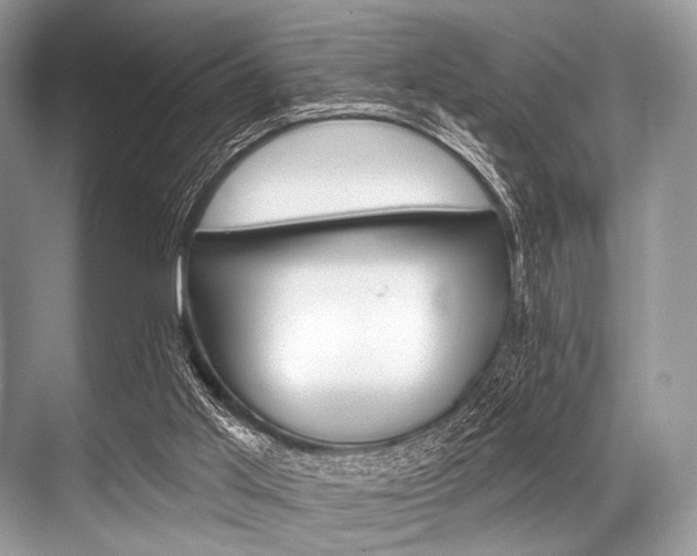 X0000068820013200605050954