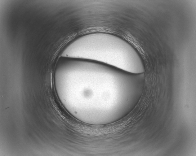 X0000068820014200605050954