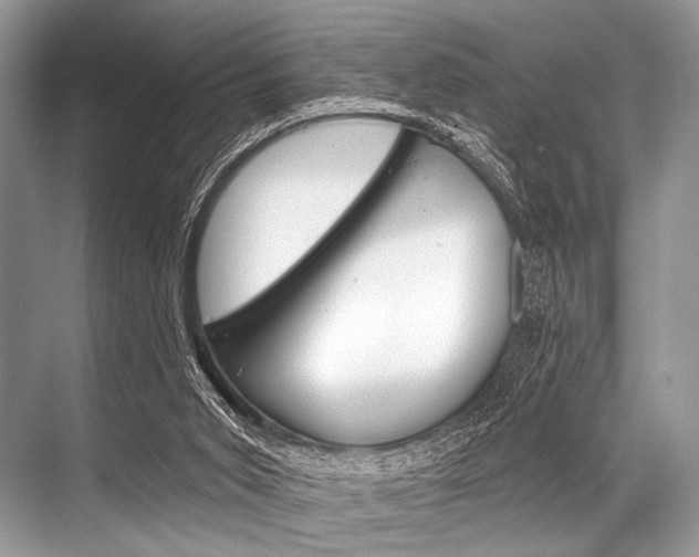 X0000068820015200605050954