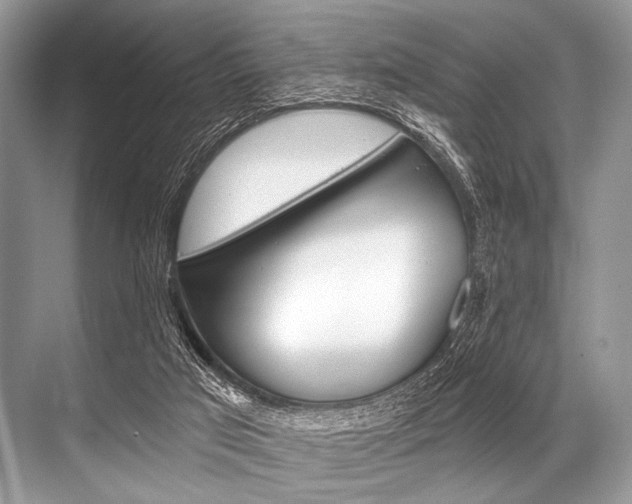 X0000068820017200605050954