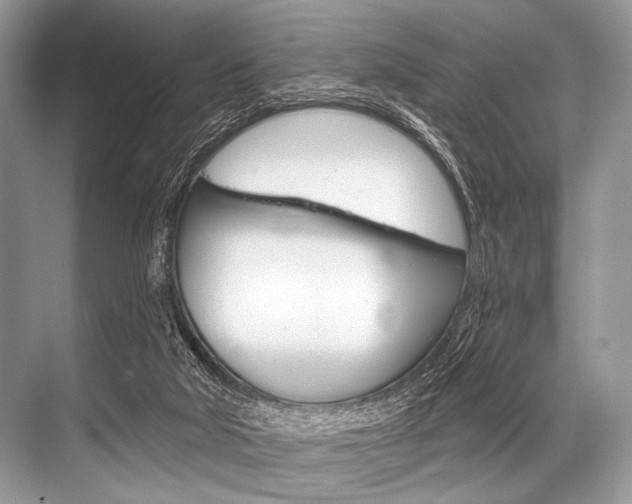 X0000068820018200605050954