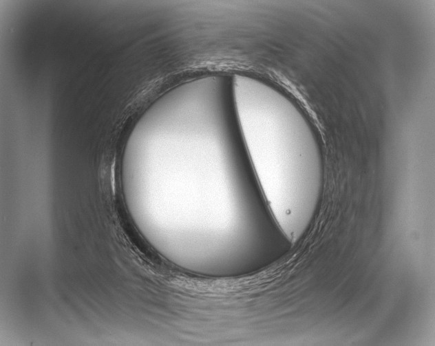 X0000068820019200605050954