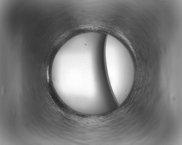 X0000068820020200605050954