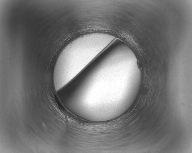 X0000068820021200605050954