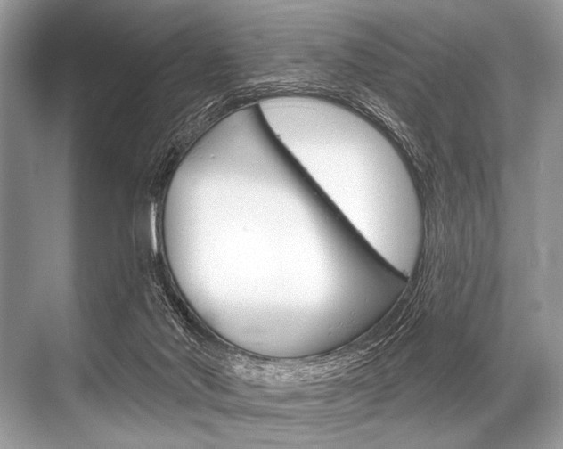 X0000068820022200605050954