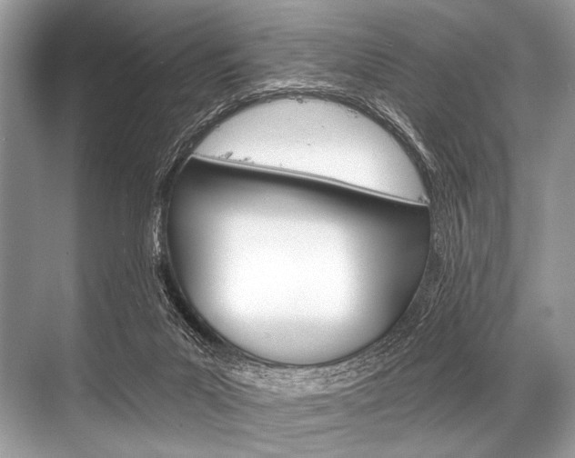 X0000068820023200605050954