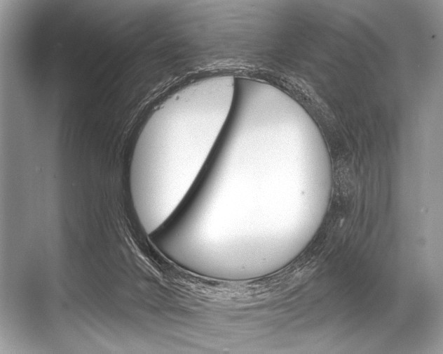 X0000068820024200605050954