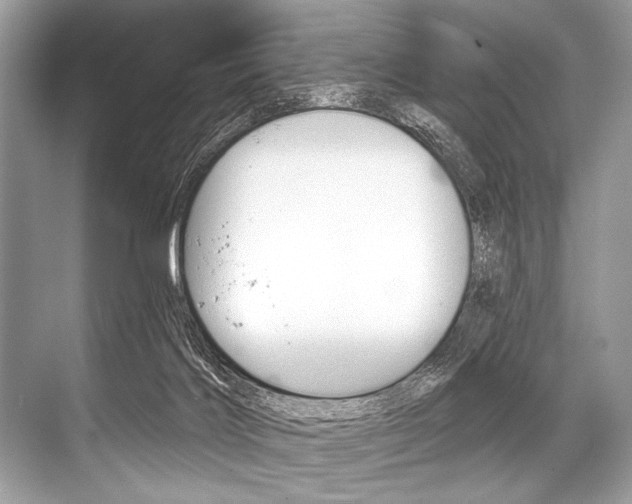 X0000068820028200605050954